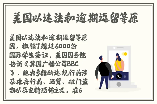 荧被盗宝团轮j视频